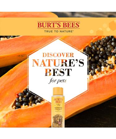 Burt's Bees Whitening Shampoo for Dogs - Papaya & Yogurt - 16 fl oz - Buy Online on GoSupps.com