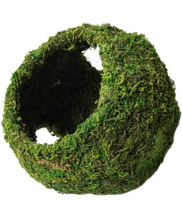 Galapagos 05344 Mossy Cave with Holes for Aquarium, 7.5", Green (759834053446)