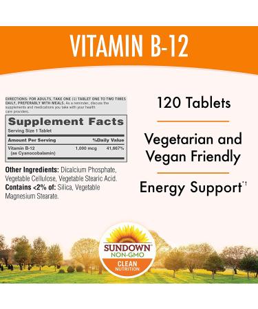 Sundown Naturals Vitamin B12 1000 mcg - Energy Support - 120 Tablets - Buy Online on GoSupps.com