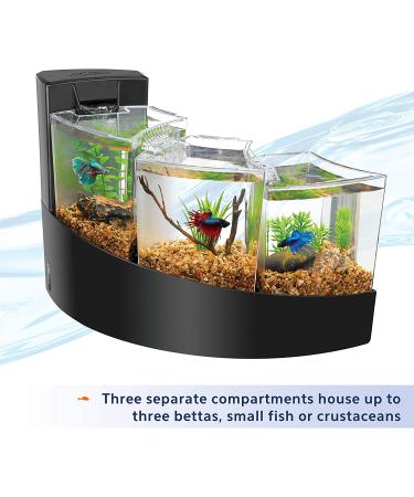 Aqueon Betta Falls Aquarium Kit with QuietFlow Filter - 3 Section Fish Tank - Buy Online on GoSupps.com