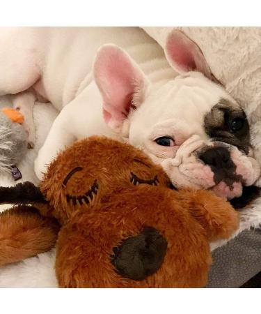 Snuggle Puppy Replacement Heat Packs - 12-Pack for Pets - Buy Online on GoSupps.com