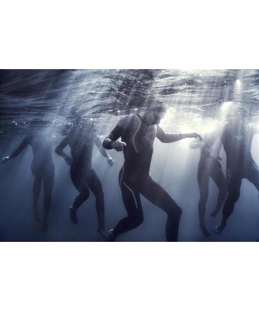 Speedo Women's Neoprene Xenon Triathlon Shorts - Black, Medium | Speedo - Buy Online on GoSupps.com