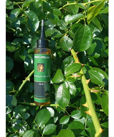 S rum Cheveux Pousse Rapide Huile de Ricin et Nigelle Croissance et Brillance - Buy Online on GoSupps.com
