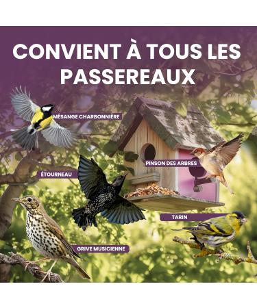 LERAVA - Bird Seeds Premium Quality - 800g - Wild Bird Food Mix - Ideal for the Garden and Winter - - Buy Online on GoSupps.com