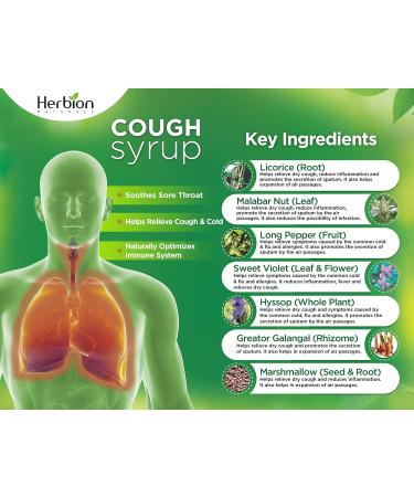 Herbion Naturals Throat Syrup - All Natural & Gluten-Free - 5 oz | Herbal Cough Relief International Shipping - Buy Online on GoSupps.com