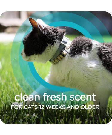 Sergeant's Guardian Flea & Tick Cat Collar - 1 Count | Long-lasting Protection - Buy Online on GoSupps.com
