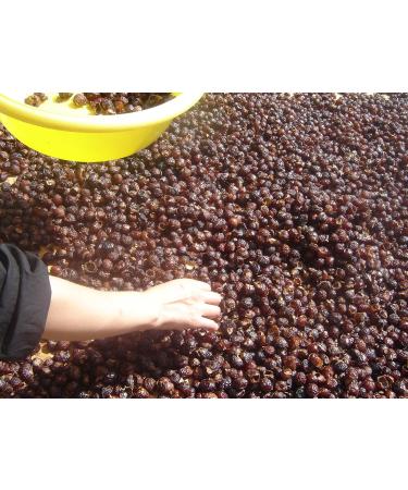 3lb Organic De-seeded Soap Berries/Soap Nuts + 2 Wash Bags - Eco-Friendly Laundry Solution - Buy Online on GoSupps.com