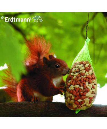 Erdtmanns Squirrel food pack of 2 (2 x 300 g) - Buy Online on GoSupps.com