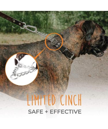 Mighty Paw Leather Martingale Dog Collar | Premium No Pull Training Collar for Dogs - Stainless Steel Chain Cinch - Large, Medium, Small - Brown - Buy Online on GoSupps.com