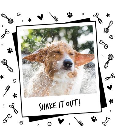 BUGALUGS Dog Shampoo All in 1 shampoo & conditioner dog grooming products for smelly dogs with Apple & Vanila fragrance best vegan pet puppy shampoo professional groom Shampoo 1x500ml - Buy Online on GoSupps.com
