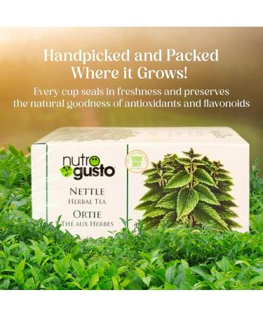 NutroGusto Tea Nettle 35 g - Buy Online on GoSupps.com
