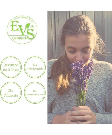 Pure Body Naturals Bulgarian Lavender Essential Oil by Pure Body Naturals 1 Fluid Ounce - 100% Pure Independently Tested Therapeutic Grade Lavender Essential Oil for Diffuser Aromatherapy - Buy Online on GoSupps.com