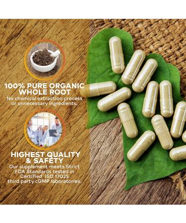 Black Cohosh Menopause Complex - Relief from Hot Flashes, Night Sweats & Mood Swings | Hormone Balance Supplement - 100% Natural & Estrogen Free - 540mg | 90 Day Supply - Buy Online on GoSupps.com