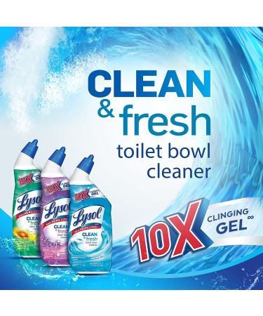 Lysol Power & Fresh Cling Toilet Bowl Cleaner Country Scent 24oz (Pack of 4) - Buy Online on GoSupps.com