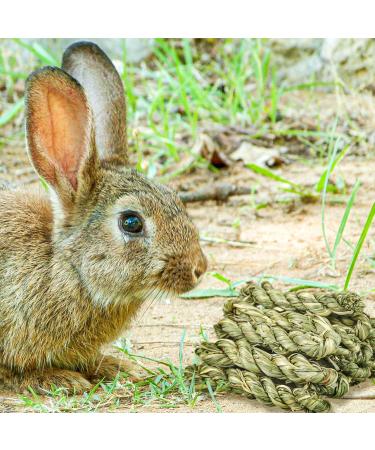 Roundler 20-Piece Rabbit Cake Stuff - Natural Timothy Hay Stick & Tooth Grinding Grass Ring Toys for Rabbits Chinchillas Hamsters & Guinea Pigs - Healthy Snacks & Chew Toys - Buy Online on GoSupps.com