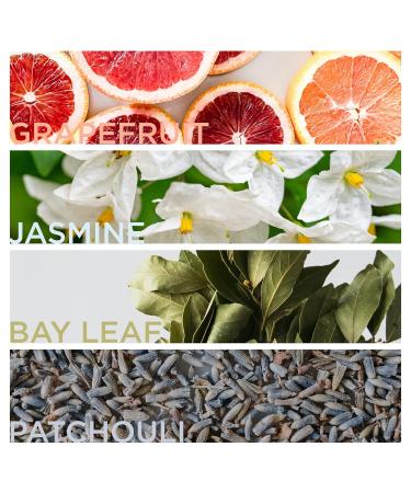 English Laundry Cambridge Knight 3 Piece Gift Set - Buy Online on GoSupps.com