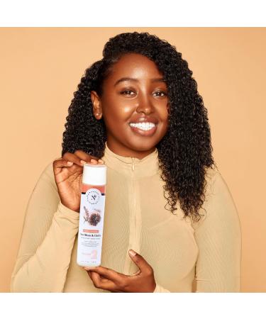 NaturAll Sea Moss & Chebe Anti Frizz Conditioner - Sulfate-Free Curl Hair Care for Dry Damaged Hair - Moisturizes Detangles & Reduces Breakage (8.5 Oz - Buy Online on GoSupps.com