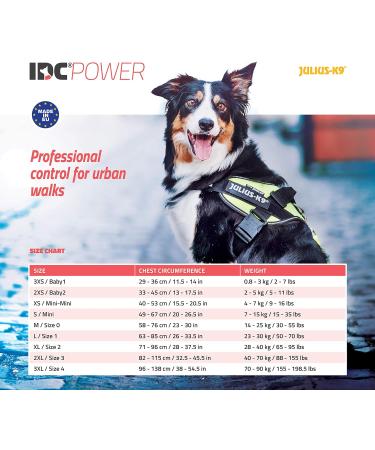 Julius-K9 Baby Boys IDC Powerharness Dog Harness Tiger - 2XL/3 | International Shipping Available - Buy Online on GoSupps.com