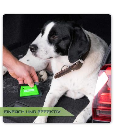 CARAPRO SMART Brush - Fast & Easy Pet Hair Remover for Dogs & Cats - Auto Green SB-1 Upholstery Brush for Effective Cleaning - Buy Online on GoSupps.com