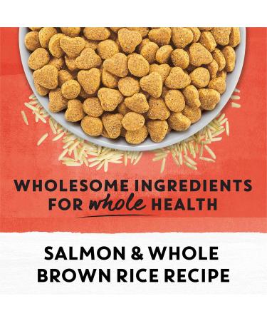 Beyond Simply Natural Dry Cat Food Salmon & Whole Brown Rice - 1.36 kg Bag 1.36 kg (Pack of 1) - Buy Online on GoSupps.com