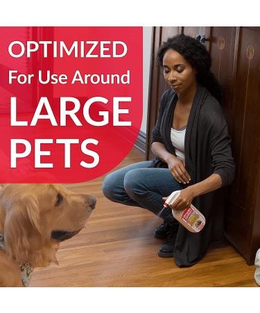 Simple Green Advanced Dog Stain & Odor Remover - Large Dogs Bacteria & Enzyme Cleaner - 32 oz Sprayer - Buy Online on GoSupps.com