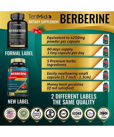 Berberine Extract Capsules 4250mg - 2 Months Supply with Ceylon Milk Thistle, Turmeric & Black Pepper | Immune Support & Weight Management Supplements - Buy Online on GoSupps.com