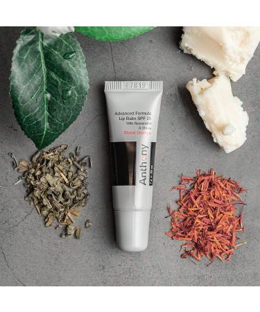 Anthony 25 SPF Lip Balm with Sunscreen - Moisturizing Treatment for Chapped Lips with Green Tea Shea Butter & Vitamin E - Blood Orange Flavor - Shop Internationally - Buy Online on GoSupps.com