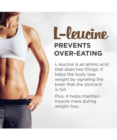 Primal Labs Smash-It Low Carb Protein Powder - Keto Meal Replacement Shake (Chocolate) 795g - Buy Online on GoSupps.com