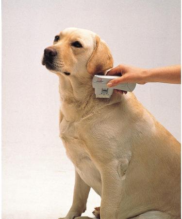 Electronic Flea Comb Kills Fleas Without Chemicals. Epilady - Buy Online on GoSupps.com