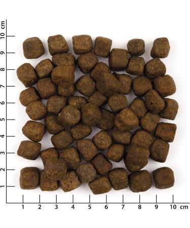 Wolfsblut Wild Duck Adult 12.5 kg - Buy Online on GoSupps.com