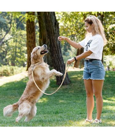 Collardirect Round Leather Dog Collar | Handmade Soft Padded Rolled Collar for Dogs & Cats - 15-18 cm - Black Pink Red Purple Blue Beige - Buy Online on GoSupps.com