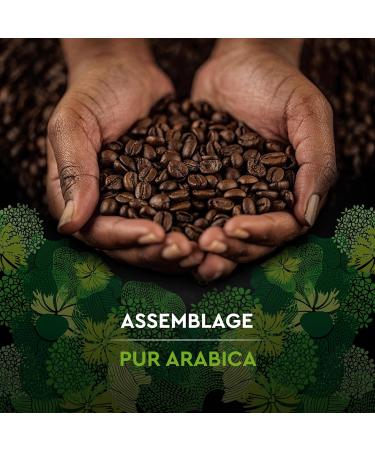 CARTE NOIRE - Carte Noire Ground Coffee "Organic Selection" - Organic Ground Coffee - Pure Arabica Ground Coffee - Pack of 6 x 500 g - Made in France - Buy Online on GoSupps.com