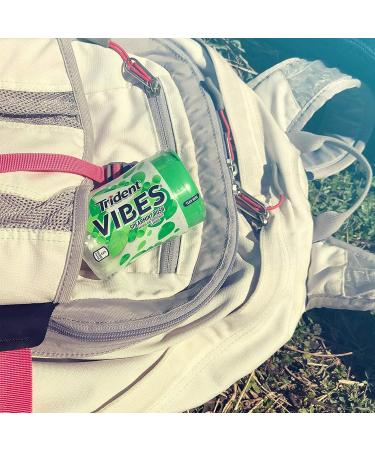 Trident Vibes Rush Sugar - Spearmint - 40 Pieces - Buy Online on GoSupps.com