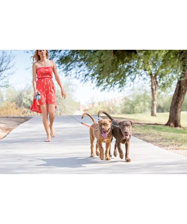 WIGZI Dual Doggie 3.0 Gel Retractable Leash - Grey | Best International Shipping for Dogs - Buy Online on GoSupps.com