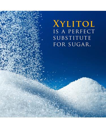 Focus Nutrition Xyloburst Sugar-Free Xylitol Sweetener - 5 lb. Ziplock Bag | Non-GMO & Gluten-Free - Buy Online on GoSupps.com