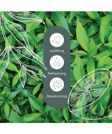 Buy Plant Therapy Lemon Scented Tea Tree Essential Oil 10 mL 100% Pure Natural Aromatherapy for Uplifting Refreshing & Deodorizing Aroma International Shipping Available - Buy Online on GoSupps.com