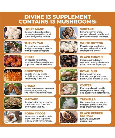 HerbaMe Mushroom Extract Complex with Black Pepper Lion's Mane Cordyceps Turkey Tail Chaga Shiitake Maitake Nootropic Brain Supplements for Memory and Focus Immune System Support 90 Capsules - Buy Online on GoSupps.com