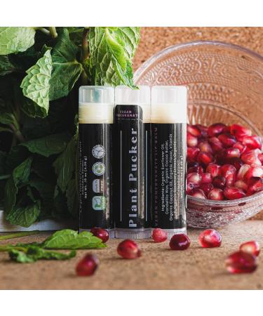 Buy Vegan Lip Balm 3-Pack - Pomegranate Flavor | Organic & Eco-Friendly - Buy Online on GoSupps.com