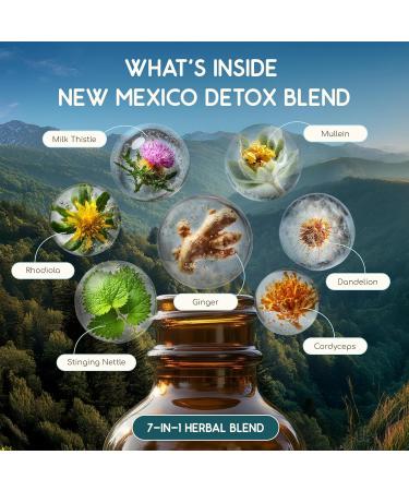 HerbEra New Mexico Herbal Detox Blend - USDA Organic Extract Made in USA | Immune & Liver Support Liquid Drops | Dandelion Root Ginger Milk Thistle Rhodiola Cordyceps | 2 fl oz - Buy Online on GoSupps.com