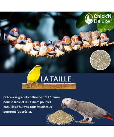 Chickn Deluxe Ideal Sand 5kg Premium Bird Cage Sand for Healthy Birds | International Shipping - Buy Online on GoSupps.com