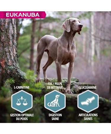 Eukanuba Adult Dog Dry Food For Large Breed Salmon & Barley 12kg - Buy Online on GoSupps.com