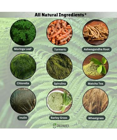 Nagano Trim Lean Body Ultra Burn | Organic Greens Superfood Powder | Supports Energy Detox Digestion Vitality | Turmeric Moringa Wheatgrass Ashwagandha | Gluten-Free Vegan Non-GMO | 5.3 oz (1) - Buy Online on GoSupps.com