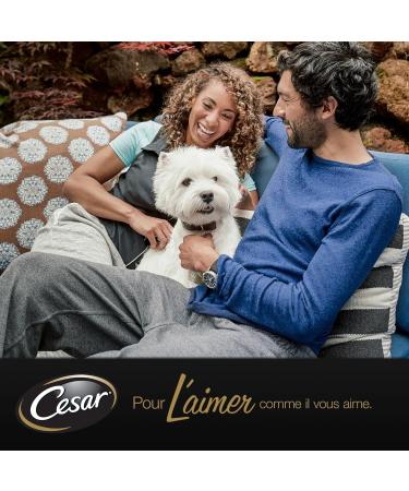 Cesar Barquettes Les Terrines du Jardin Wet food for dogs Meat with vegetables Pack of 16 trays x 300 g - Buy Online on GoSupps.com