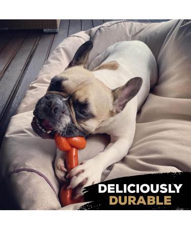 Rosewood TastyBone Extra Robust Knotted Nylon Dog Toy - Lamb Flavour Lamb Chop | International Shipping Available - Buy Online on GoSupps.com