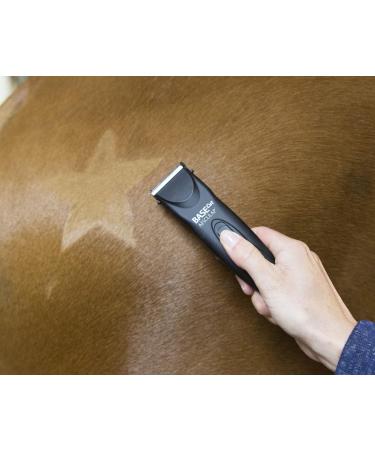 Kerbl 321900 Shearing Template for Horses - Set of 3 | International Shipping Available - Buy Online on GoSupps.com