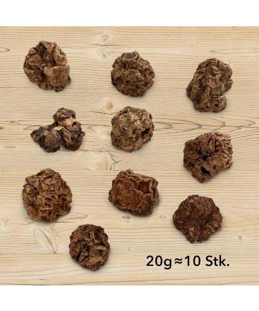 LEO L WENKATZ Matatabi Fruits - Intense Catnip Alternative | Premium Cat Toys for Happy Felines - Buy Online on GoSupps.com