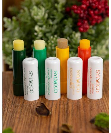 Sylveco Nourishing Lip Balm with Peeling 4.6g - Hydrating Smooth Lips | Shop Internationally - Buy Online on GoSupps.com