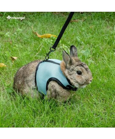 Niteangel Adjustable Soft Rabbit Harness with Elastic Leash - Large Blue | Comfortable & Safe Pet Gear for Rabbits - Buy Online on GoSupps.com