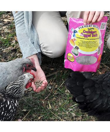 Farmers' Helper Cackleberry Nugget Treat 27 oz for Chickens, Turkeys, Peafowl, and More - Buy Online on GoSupps.com