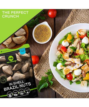 Raw Brazil Nuts In Shell - Whole Superior Quality (32oz - 2 LB) | Fresh Resealable Bag | Healthy Protein Snack | Natural, Keto-Friendly, Vegan, Kosher - Buy Online on GoSupps.com